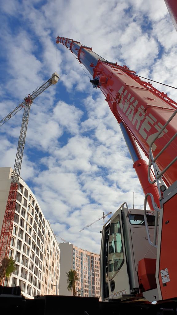 grua230toneladasdesmontajedegruatorre