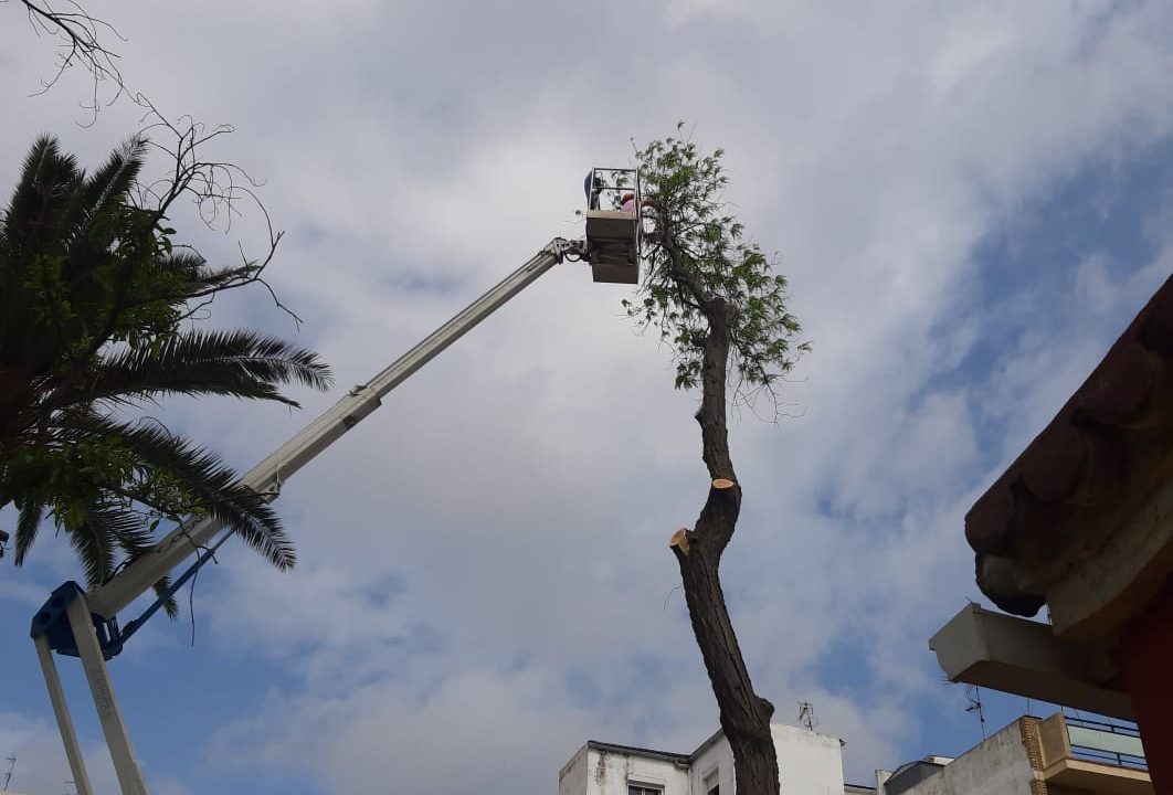 plataforma-elevadora-img (20)