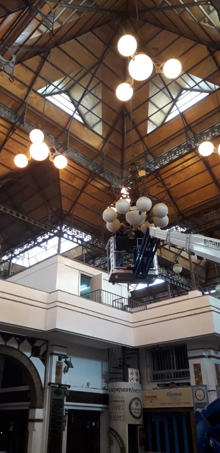 galeria-orruga (13)